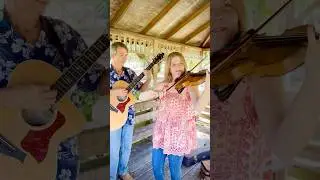 Jazzy tunes in Florida fall.🍃#jazzviolin #floridamusic #floridajazz #violinmusic #livingbythestream