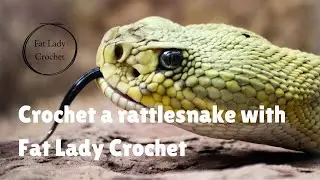 Rattlesnake Crochet Pattern Kit &ndash; Exclusive Video Tutorial