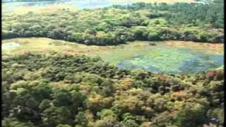 Carlton Reserve in Sarasota County