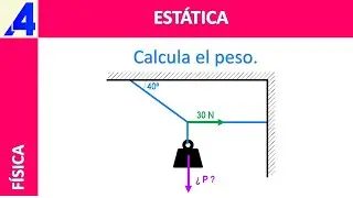 ESTÁTICA. CALCULA EL PESO.