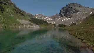 Lily Meadows | Valemount B.C.
