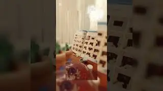 Kammentda 1/10 gacha baho berila 🍥