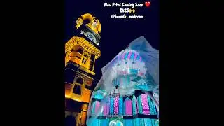 New Pitni 2025 | Baroda muharram❤️ #trending #muharram #moharram #shorts #short #like