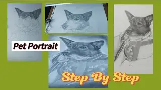Pet Portrait Artwork Step By Step ✍️ #drawing #petportrait #drawingprocess #art #artwork 