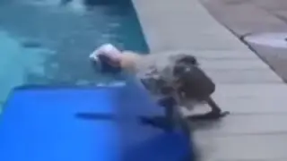 FLOTATION DEVICE - FULL VERSION FIXED