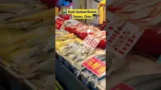 Bashi Seafood market, Xiamen, China #travel #china #chinatravel #seafood #seafoods #market #shorts