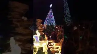 Stow Hill Christmas Lights