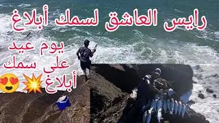 حب الصيد بالقصبة خلاني نهار العيد اتمتع مع سمك أبلاغ 😍مصيد الاحلام  معلومات و فرجة #pêcheur #sahara