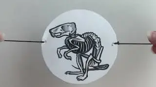 Taumatropo