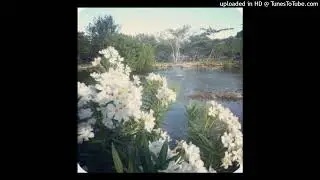 lucy bedroque ginseng type beat - laugh