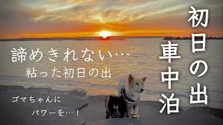 初日の出は…女ひとりと2匹の心の希望なのだ！苫小牧の海で凍えながら待った2026年1月1日〜北海道年越しキャンピングカー旅後編
