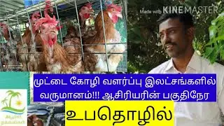 BV380 முட்டை கோழிகளின் மூலம் இலட்சங்களில் வருமானம் | Good income for ege laying chicken | Tamil