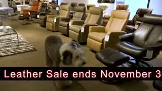 Rubin's Furniture's Leather Sale
