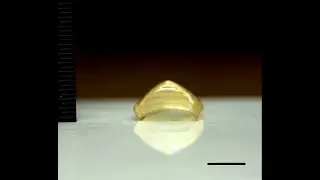 Zozef Siddiqui-OSU-Structure-property Relationships in 4D-printed Liquid Crystal Elastomers
