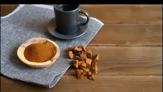 Chaga: The Super Shroom You Need!