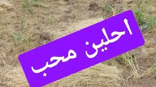 Zemzem. is liveاحلين مرحب 🌹🌹