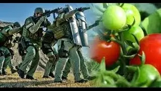 Azure Organic Farm Standoff with State Authorities Sherman County Oregon (374)