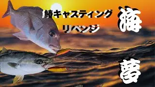 【鰆キャスティングリベンジャーズ】