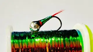 ✅&iexcl;Predator Fly  est&aacute; emitiendo en directo!✅ competition nymphs live