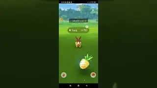Shiny Tepig | Tepig com day