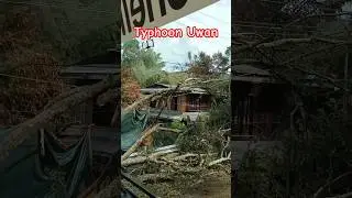 #bagyonguwan #typhoon #uwan #nuevavizcaya #buhaybyahero #truckdriver #keandelta