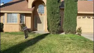 1953 Davis Drive Los Banos, CA 93635 - FOR RENT