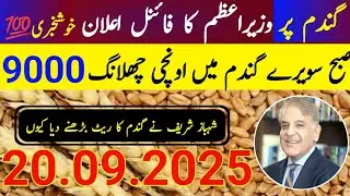 Wheat Support Price 2026 / گندم کی نئی امدادی قیمت فائنل اعلان 