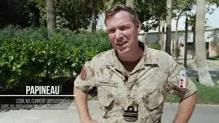 Combined Task Force 150