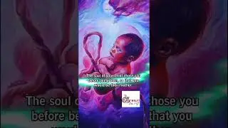 The Soul Of A Child Chooses It&rsquo;s Mother! #soul #child #spiritual