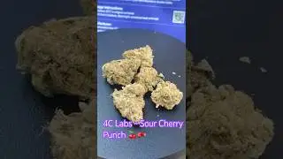 4C Labs ~ Sour Cherry Punch T27 🍒🥊Review in description 👇
