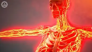 Stimulate Blood Circulation In The Body | Increase Blood Oxygen | Keep Your All Organs Healthy