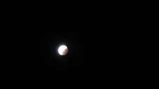 Time Lapse Total Lunar Eclipse (Totality Through 4th Contact) January 20, 2019 60 FPS