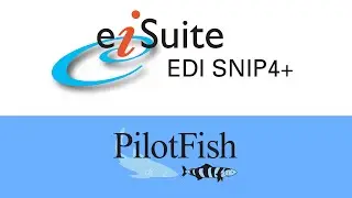 Maximize Healthcare EDI Efficiency with eiSuite EDI SNIP4+: The Complete X12 Integration Solution