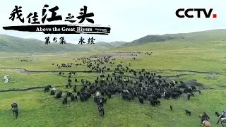 《我住江之头》第5集 我的家在国家公园 守护三江源国家公园 About the Great Rivers EP5【CCTV纪录】