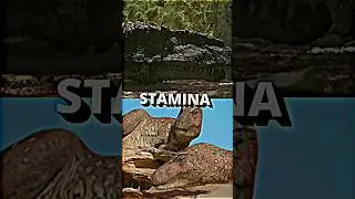 Tarbosaurus VS Torvosaurus #prehistoricplanet #dinosaur #tarbosaurus #torvosaurus #prehistoric #shor