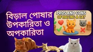 বিড়াল পোষার উপকারিতা ও অপকারিতাবিড়াল_পোষা#CatLovers#CatCareTips#CatFacts#CatParenting#CuteCats