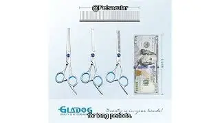 GLADOG 5-in-1 Dog Grooming Scissors Set Review: Safe, Sharp, and Worth the Investment?
