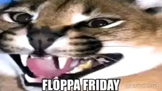 ITS F*CKING FLOPPA FRIDAY