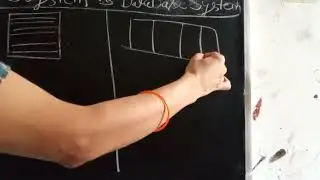 file system vs database system