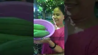 Sponge Gourd Harvest time 1st ever