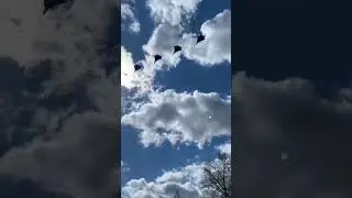 Sukhoi Su-57 Felon Sound flypass at formation
