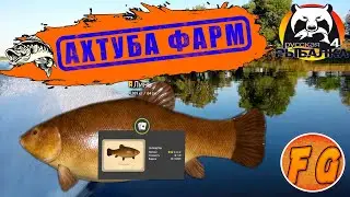 Фарм на Ахтубе.  р. Ахтуба. Два часа ловли. Russian Fishing 4. рр4. Русская рыбалка 4.