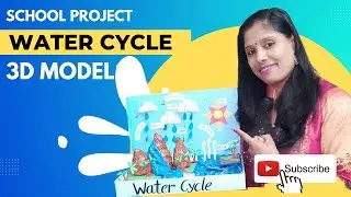 How to make 3D model on Water Cycle| School Project| Water Cycle model| #watercycle  #schoolproject