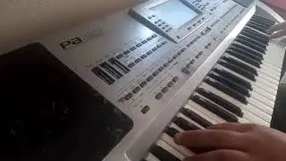 Korg PA80 &Ccedil;iftetelli Kara &Uuml;z&uuml;m Habbesi
