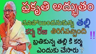 చనిపోయిందనుకున్న తల్లి కర్మ రోజు తిరిగివచ్చింది|కొడుకు,కోడలు తల్లిని చూసి వణికిపోయారు..