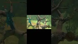 blue bokoblin horn