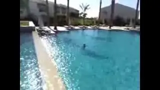 Reef Oasis Blue Bay Resort 5* зона релакс, басейн Шарм Эль Шэйк