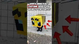 Which Minecraft Character Would You Dress Up As? 👾