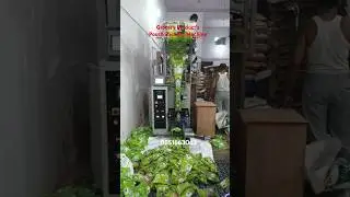 Grocery Product's Pouch Packing Machine , DMart Store, Blinkit Store Type Grocery Packing Machine