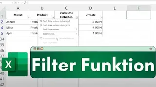 Excel Filter Funktion: Einfache Anleitung f&uuml;r Anf&auml;nger und Profis